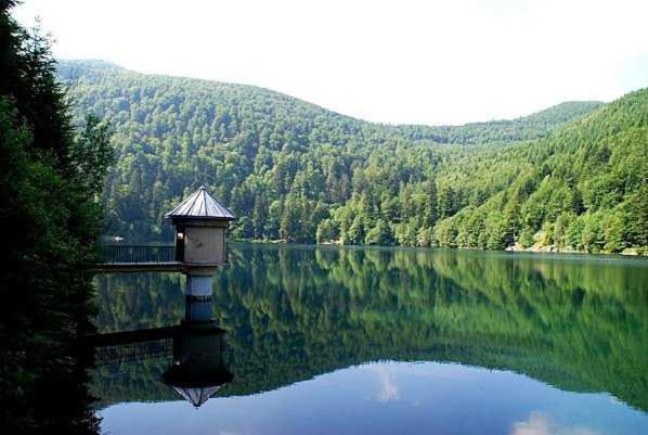 Appartement Avec Terrasse Entre Vignes, Balades, Alsace Guebwiller Eksteriør bilde