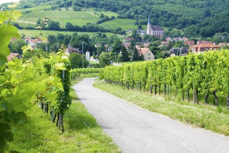 Appartement Avec Terrasse Entre Vignes, Balades, Alsace Guebwiller Eksteriør bilde