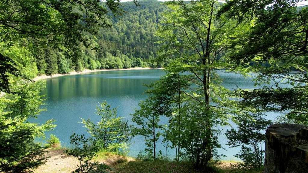 Appartement Avec Terrasse Entre Vignes, Balades, Alsace Guebwiller Eksteriør bilde